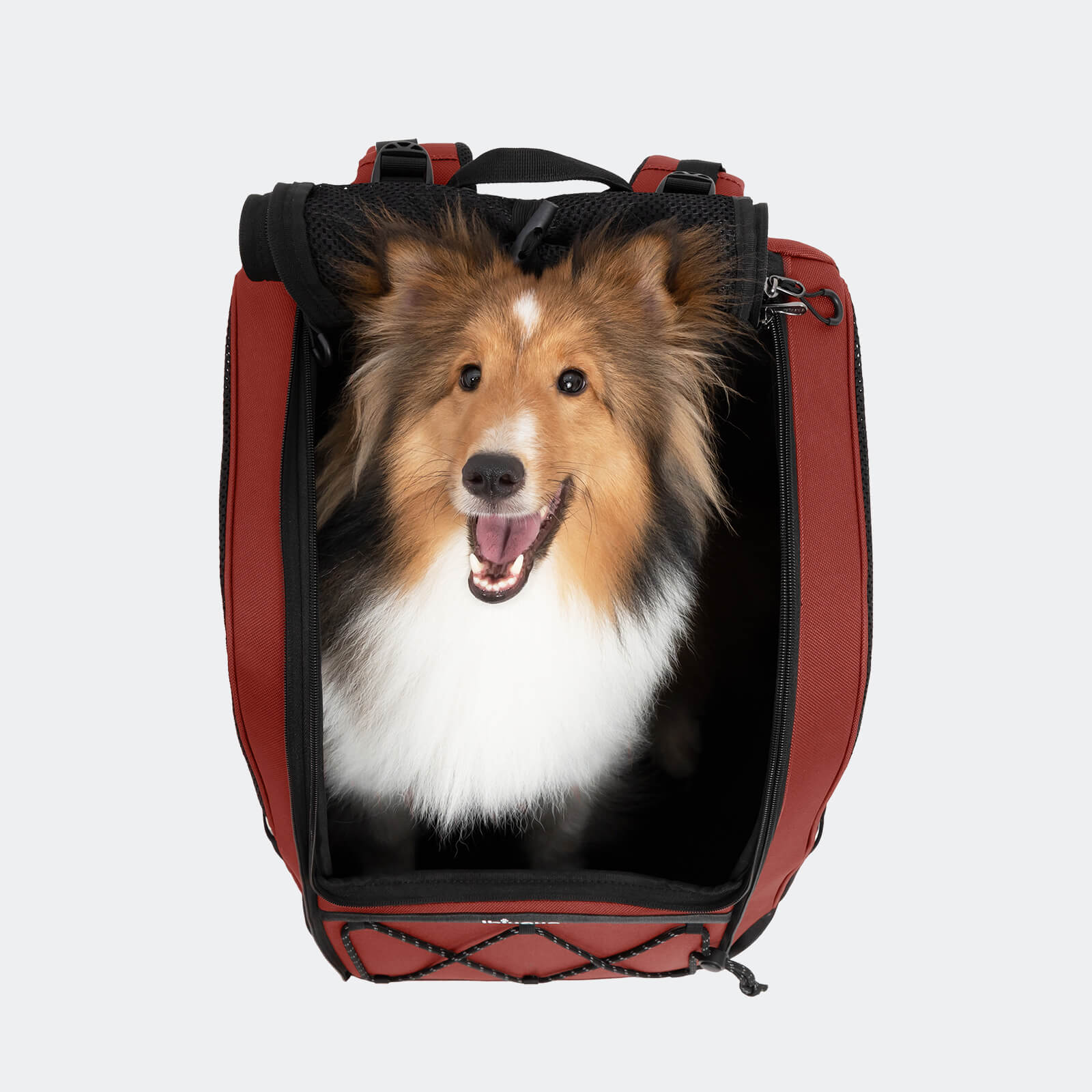 挑戰者中型犬寵物後背包