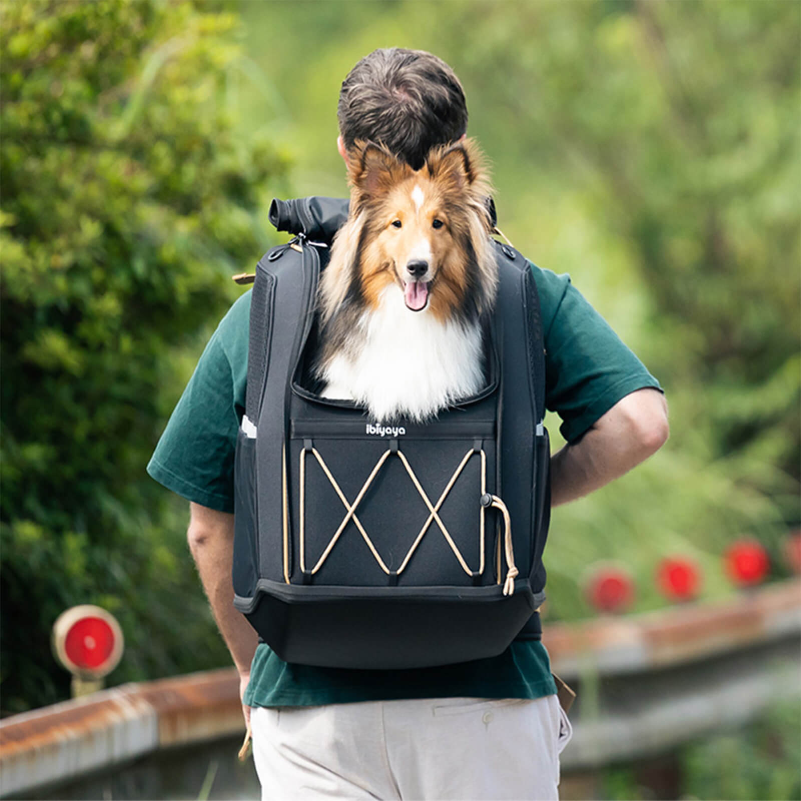 挑戰者中型犬寵物後背包