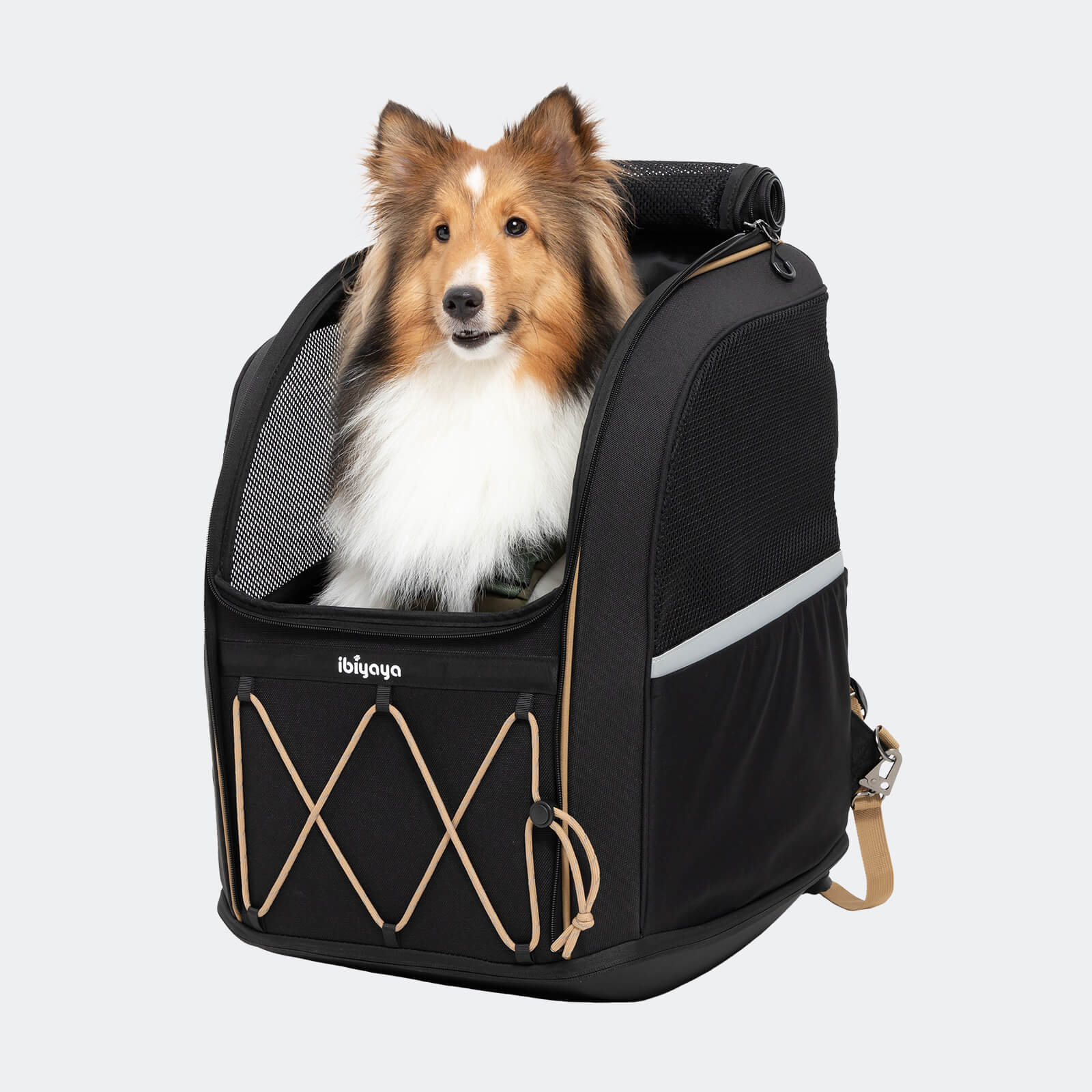挑戰者中型犬寵物後背包
