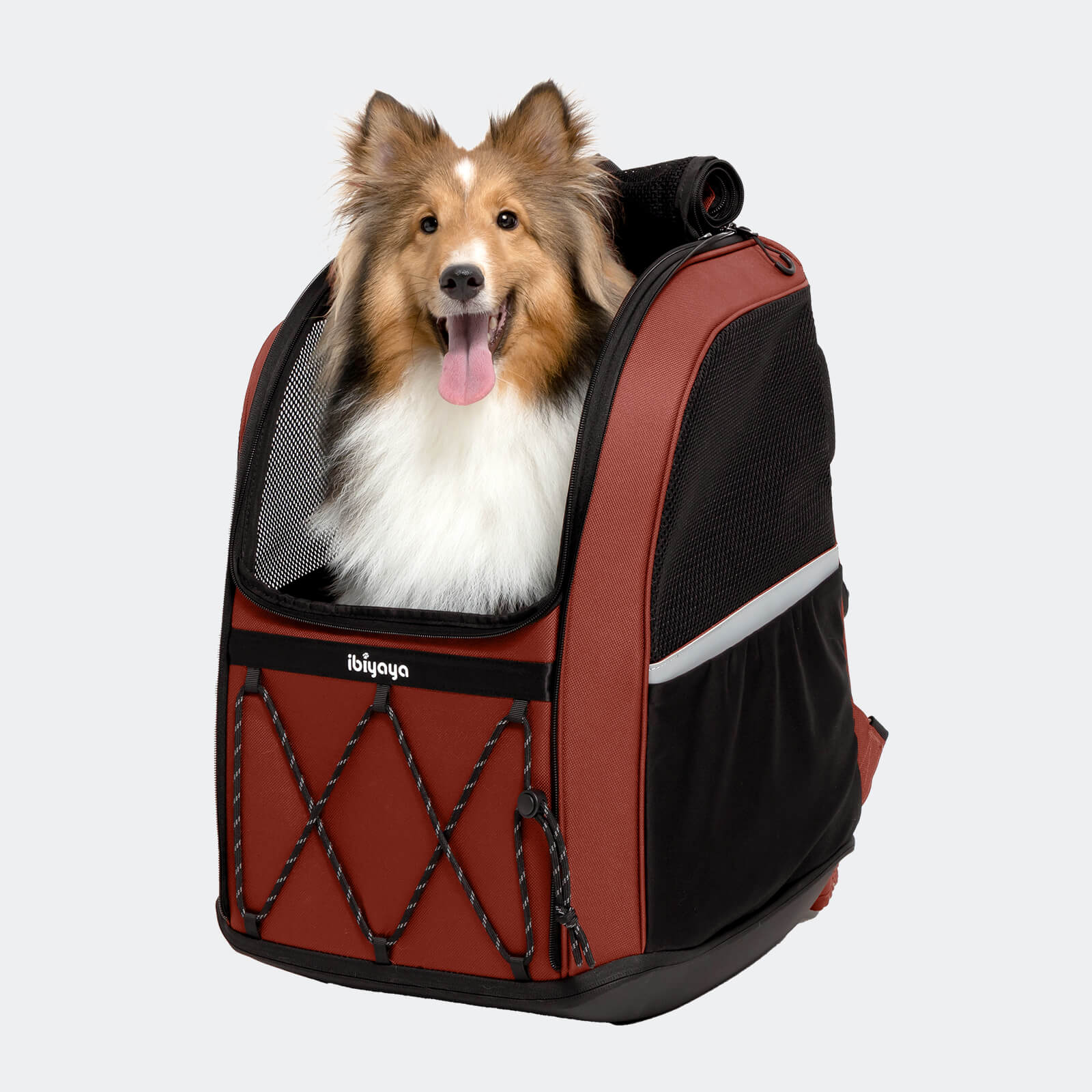 挑戰者中型犬寵物後背包