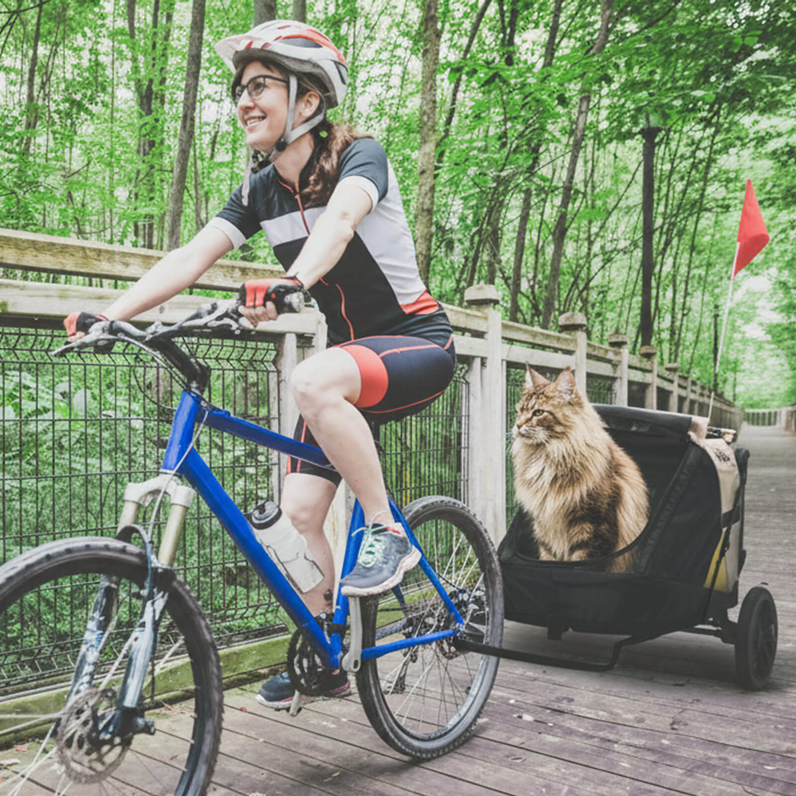 迷你卡三合一寵物拖推車